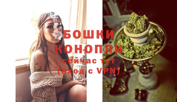 PSILOCYBIN Дмитриев