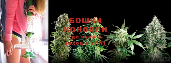 меф Дмитров